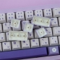 GMK Frost Witch 104+25 PBT Dye-subbed Keycaps Set Cherry Profile for MX Switches Mechanical Gaming Keyboard